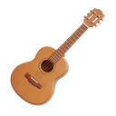 Acoustique / Folk